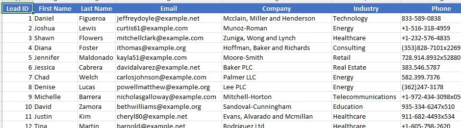 Sample of the Input Leads sheet