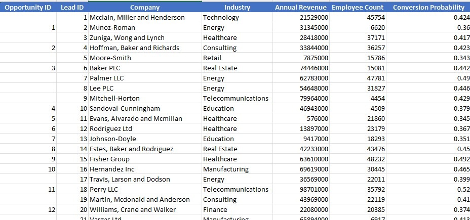 Sample of the Opportunities sheet