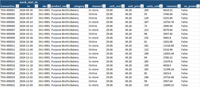 Input Data tab: one row per product per week per channel, with cost, price, units, revenue and the promotion flag